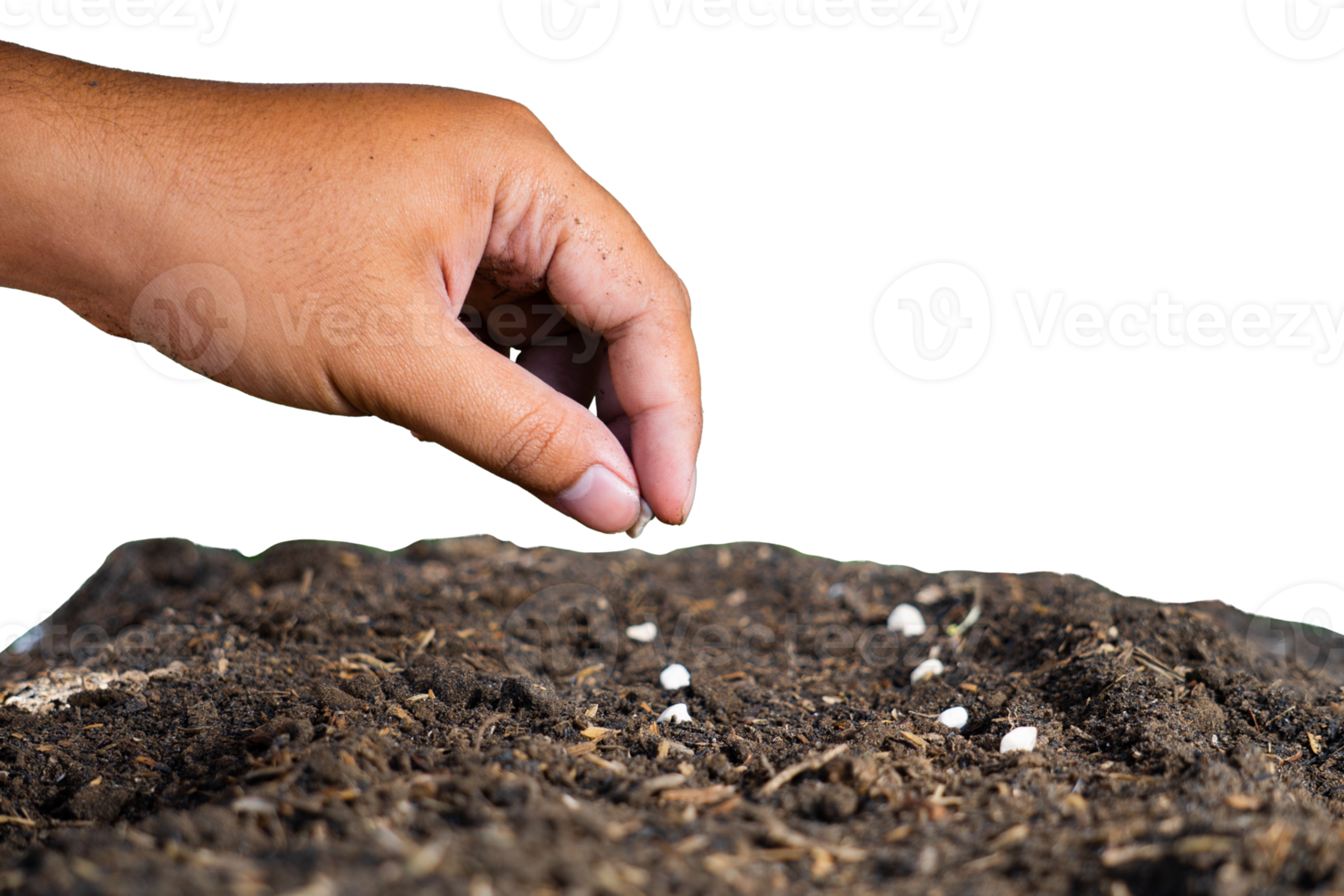 hand sowing seeds in the ground png