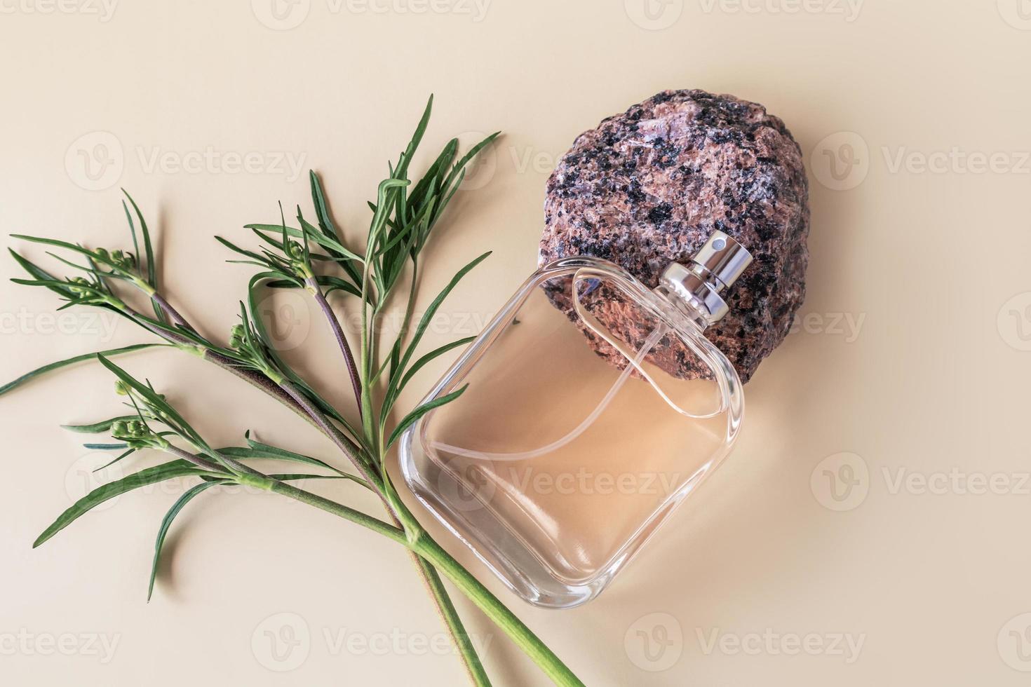 top view of the transparent cosmetic spray bottle, doukhof, lotion lying on the stone granite and green branches. unnamed bottle. product advertising. photo