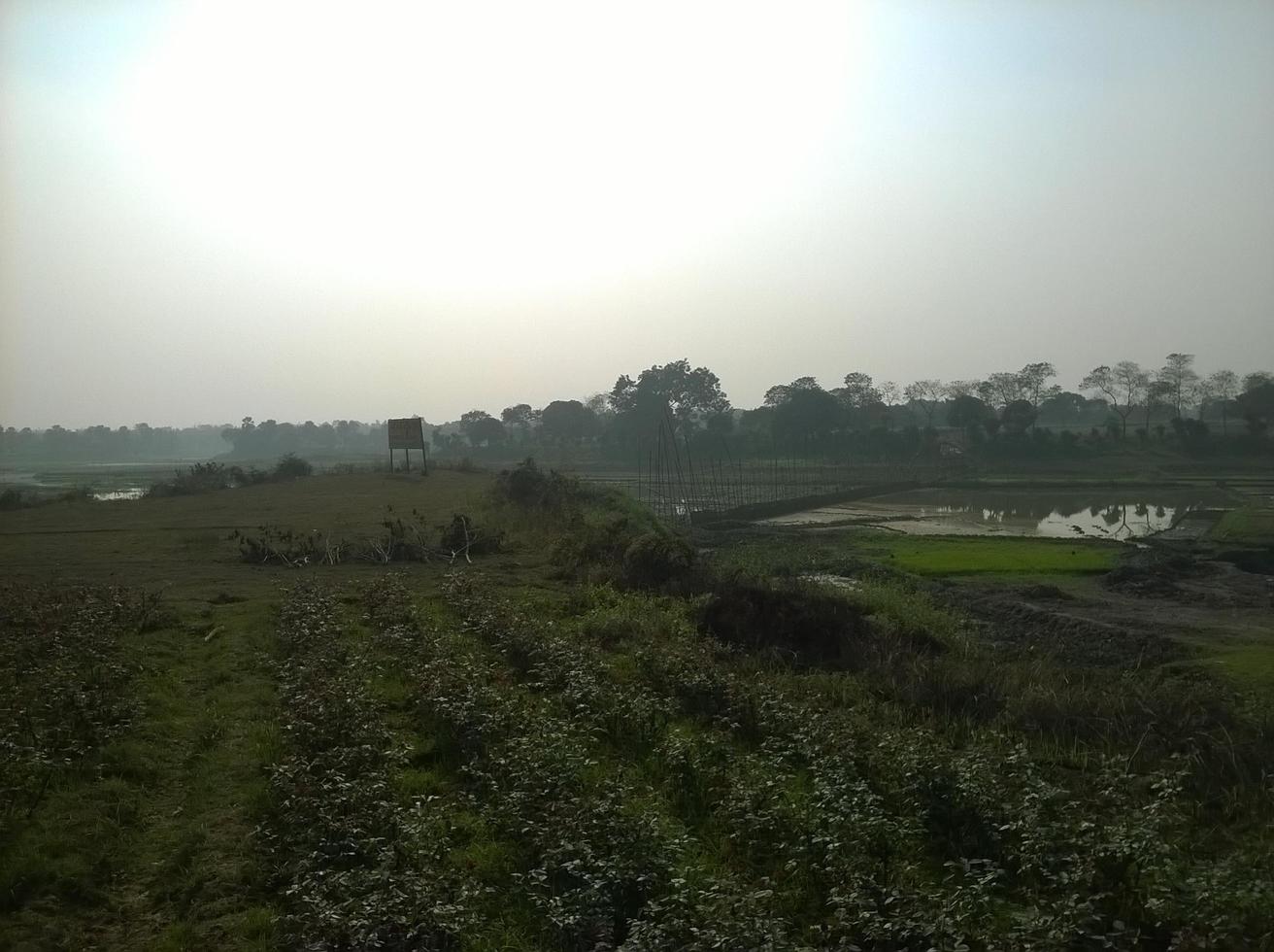 The Village field photo