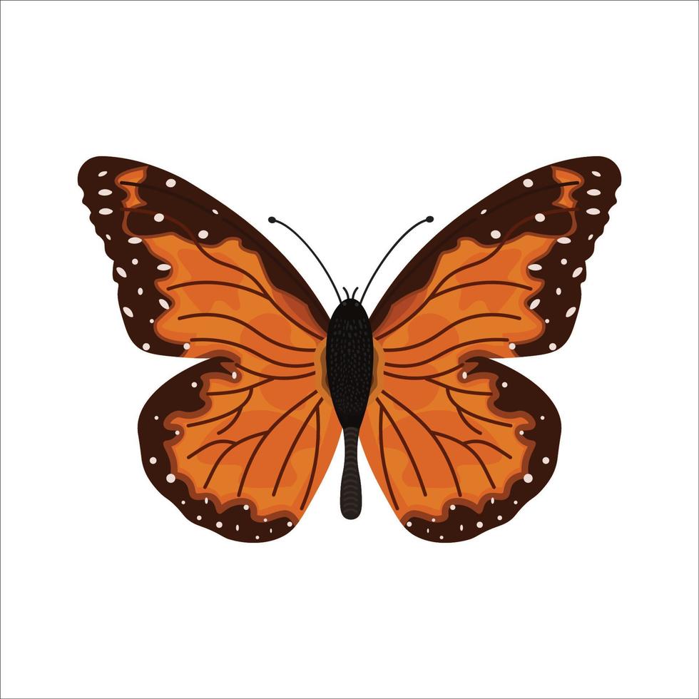 Ilustración de stock de ilustración de vector de mariposa monarca