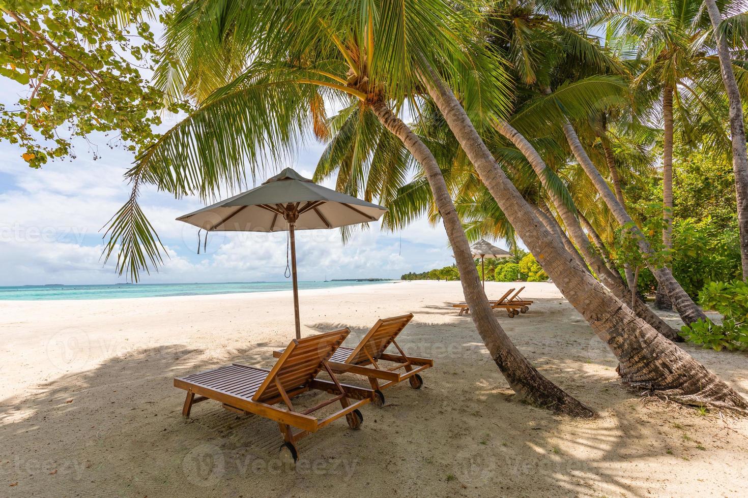 Tropical beach nature as summer landscape with lounge chairs and palm trees calm sea for beach relax banner. Luxury travel landscape, beautiful destination for vacation or holiday. Couple beach scenic photo