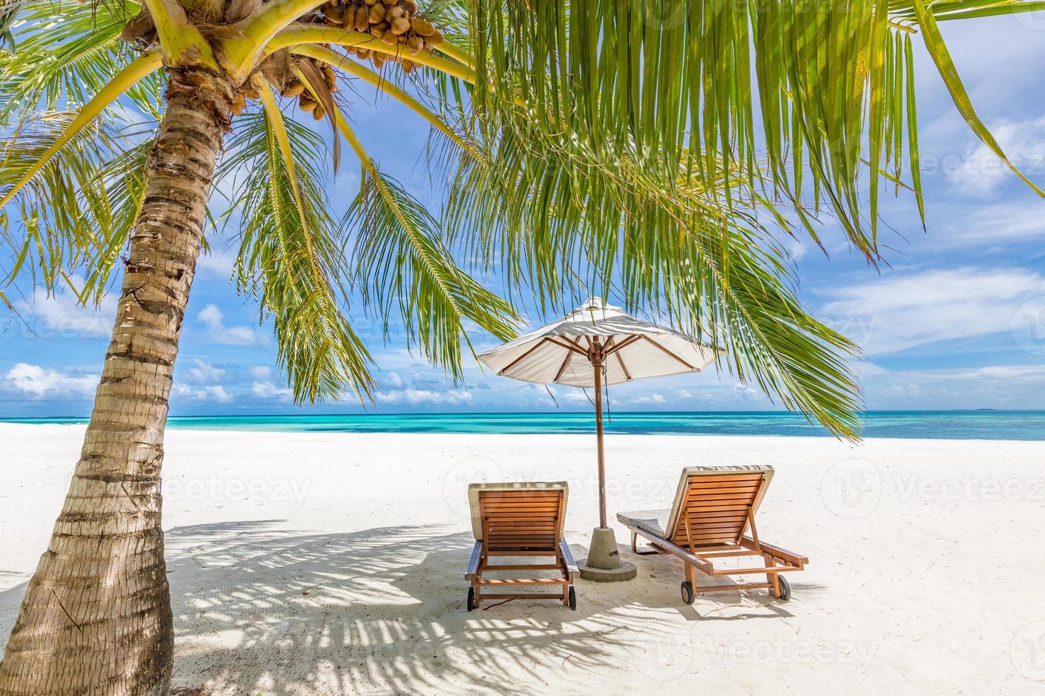 Tranquil beach scene. Exotic panorama in tropical island resort, palm trees, white sand, blue sky and sea. Honeymoon destination, summer vacation or holiday conceptual scenery. Panoramic landscape photo