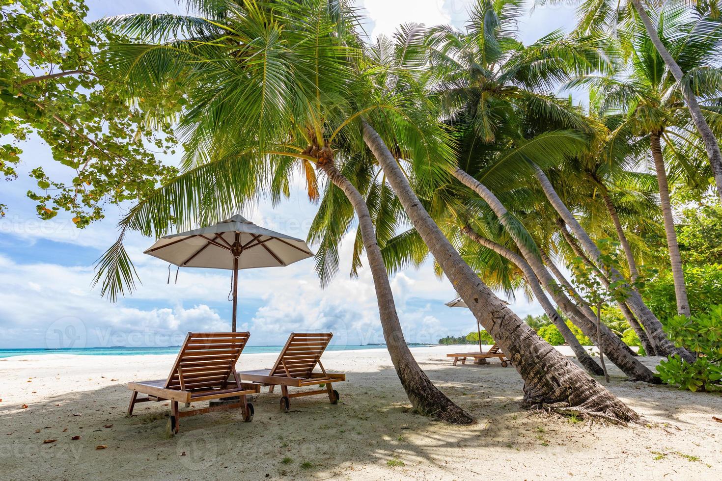 Tropical beach nature as summer landscape with lounge chairs and palm trees calm sea for beach relax banner. Luxury travel landscape, beautiful destination for vacation or holiday. Couple beach scenic photo