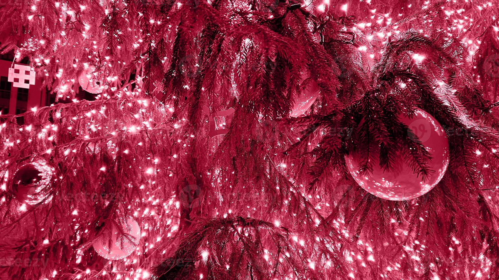 Closeup branches of coniferous tree decorated with glittering balls and shiny light garland on Christmas day at home. Color Of The Year 2023 - Viva Magenta photo