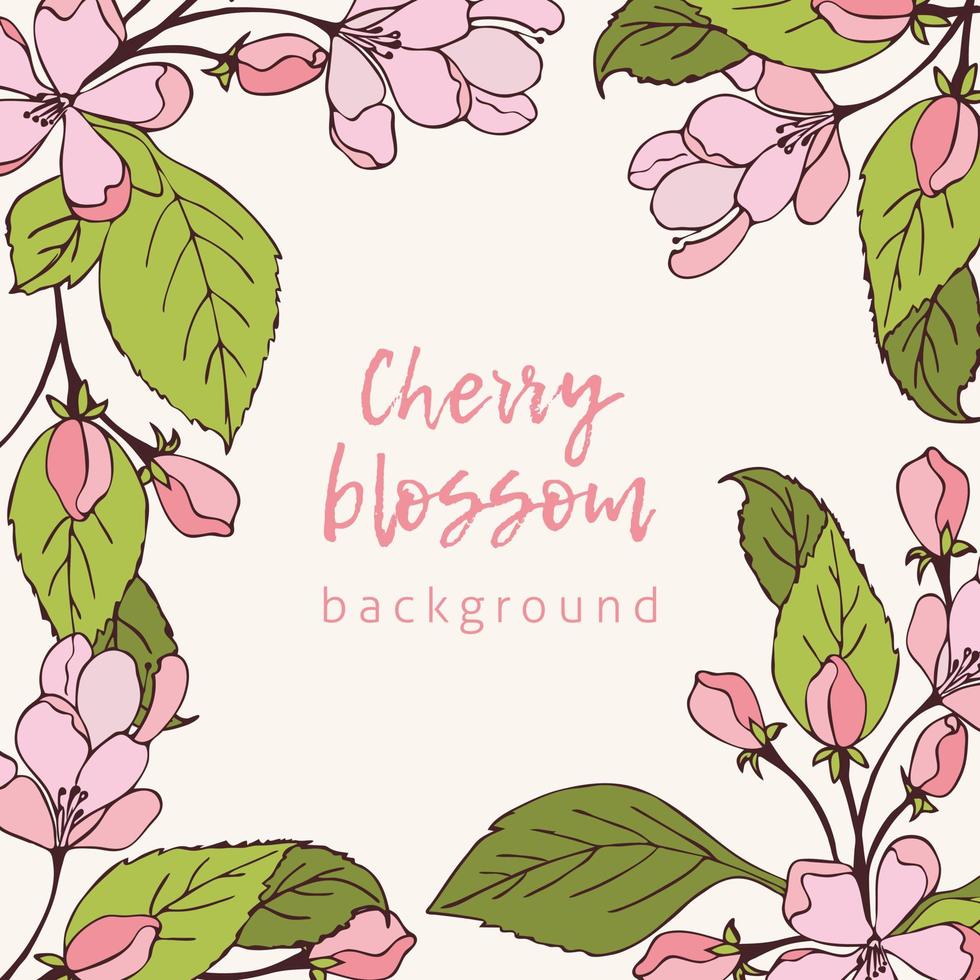 Cherry blossoms pastel background, hand drawn spring flowers. vector