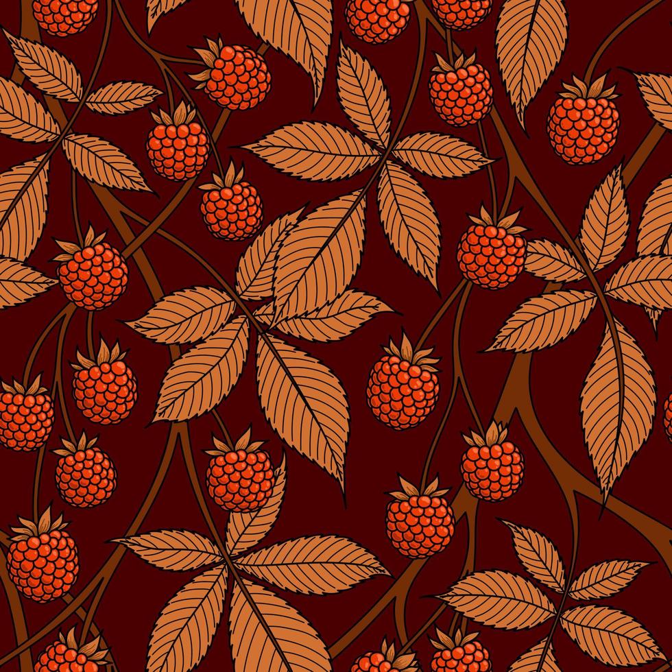 Fondo de vector transparente Borgoña con frutas de mora roja