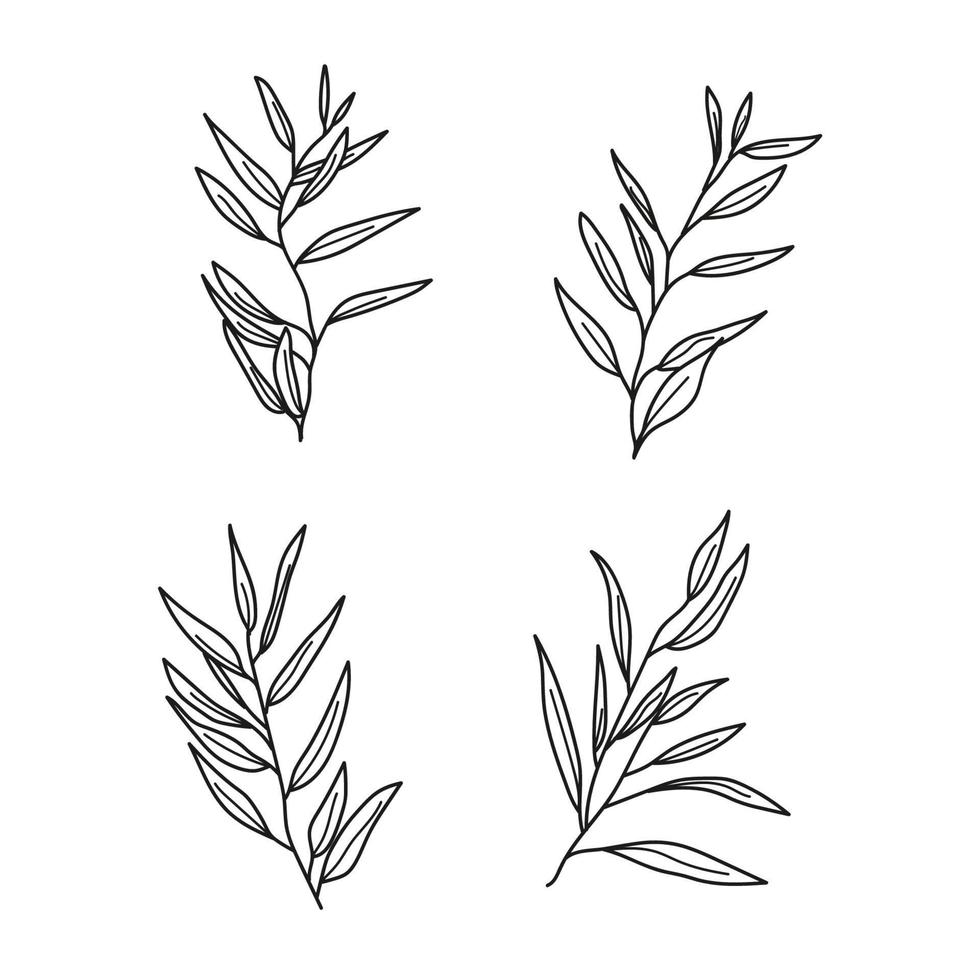 black outline with circular invitation leaf decoration vector