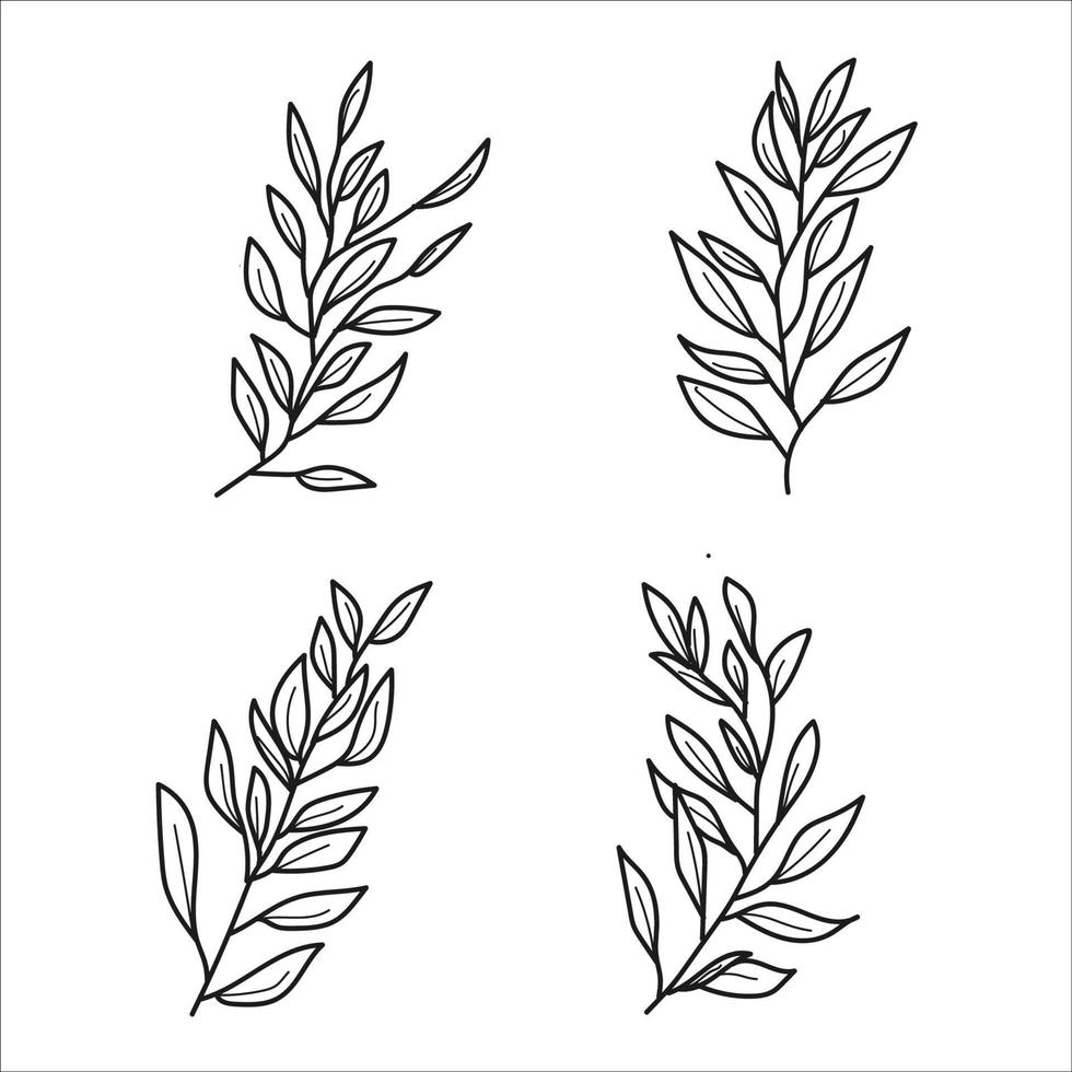 black outline with circular invitation leaf decoration vector
