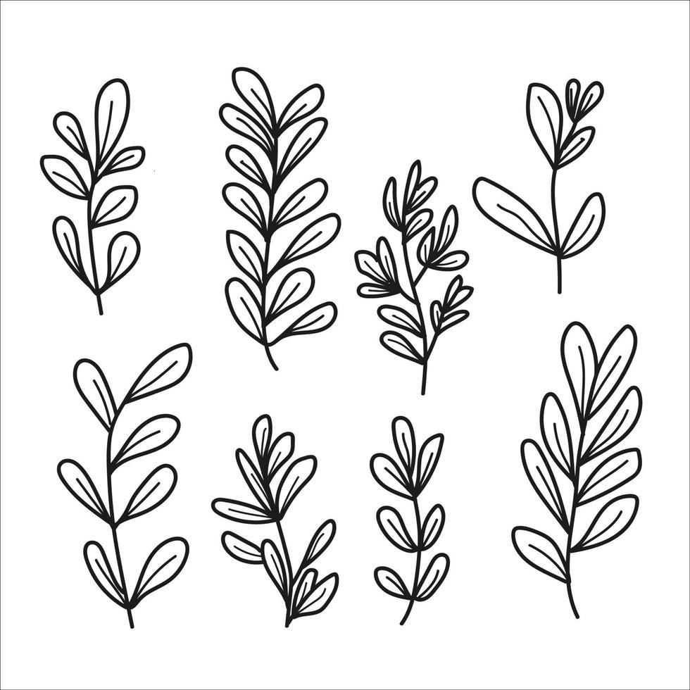 black outline with circular invitation leaf decoration vector