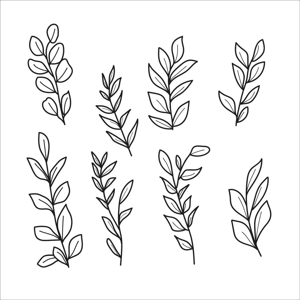 black outline with circular invitation leaf decoration vector