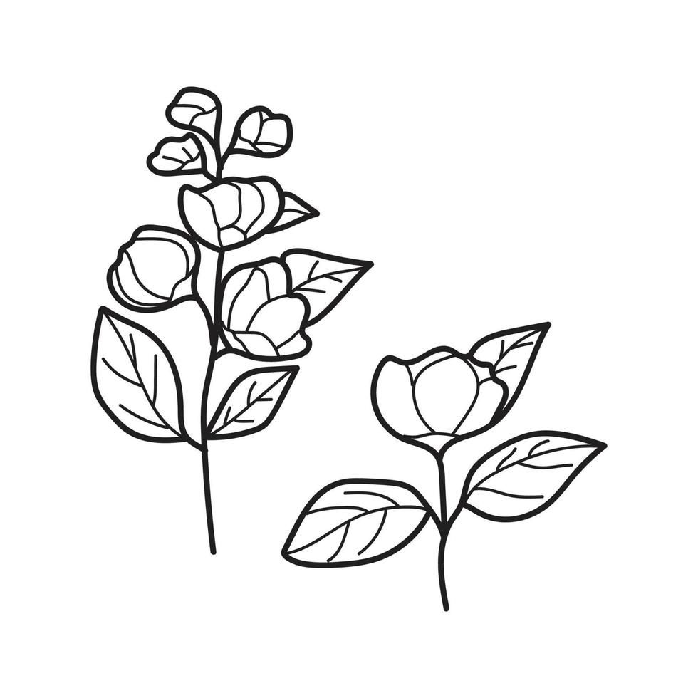 contorno negro con decoración de hojas e invitación de decoración floral vector