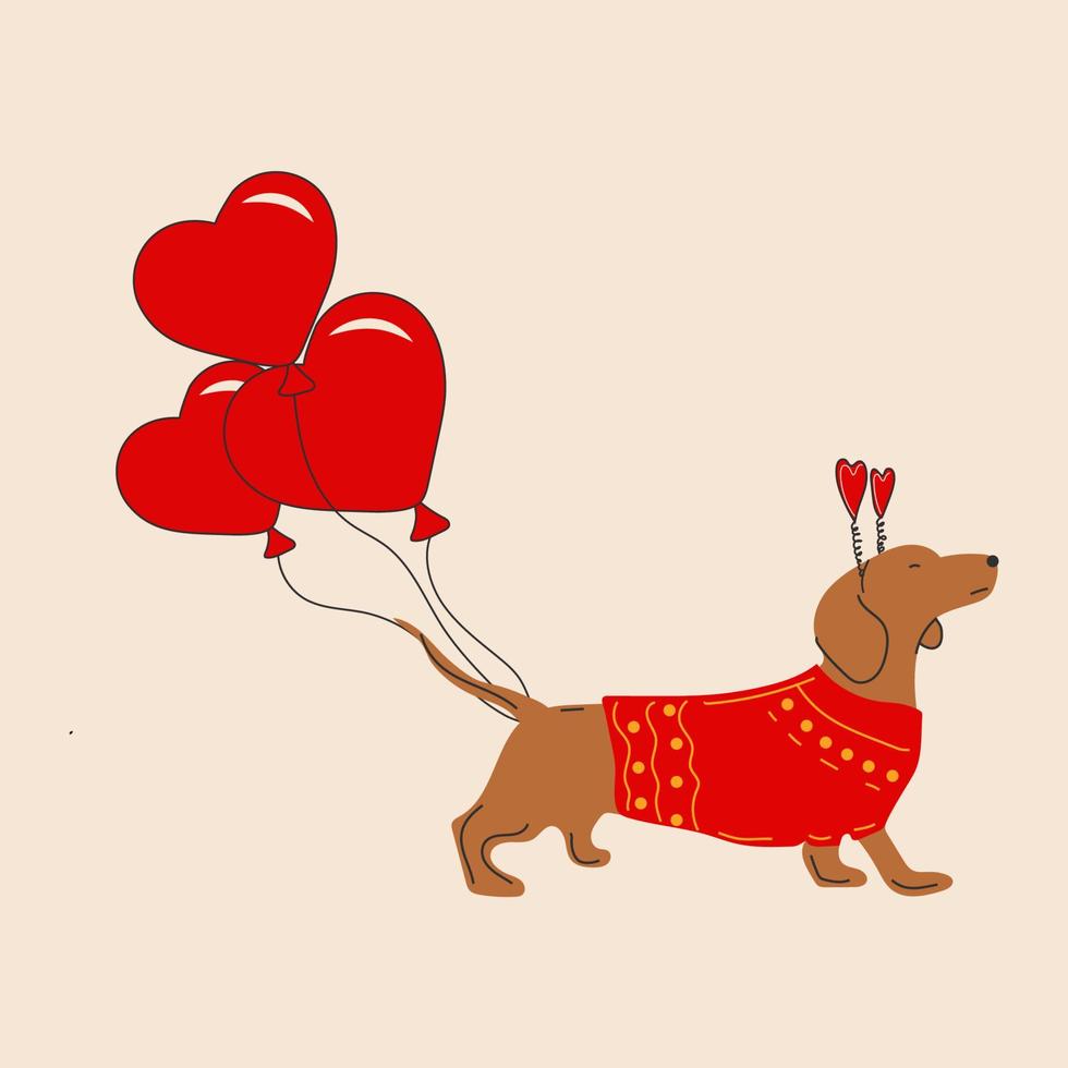 perro dachshund tira de globos en forma de corazón vector