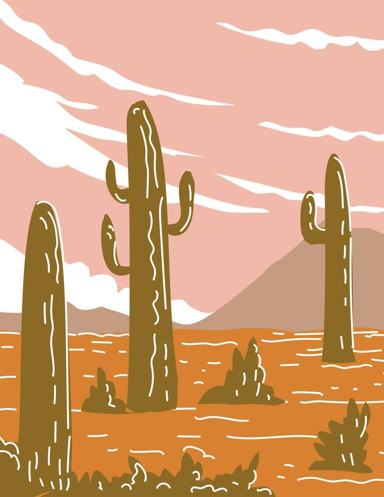 parque nacional saguaro en el sur de arizona wpa poster line art vector