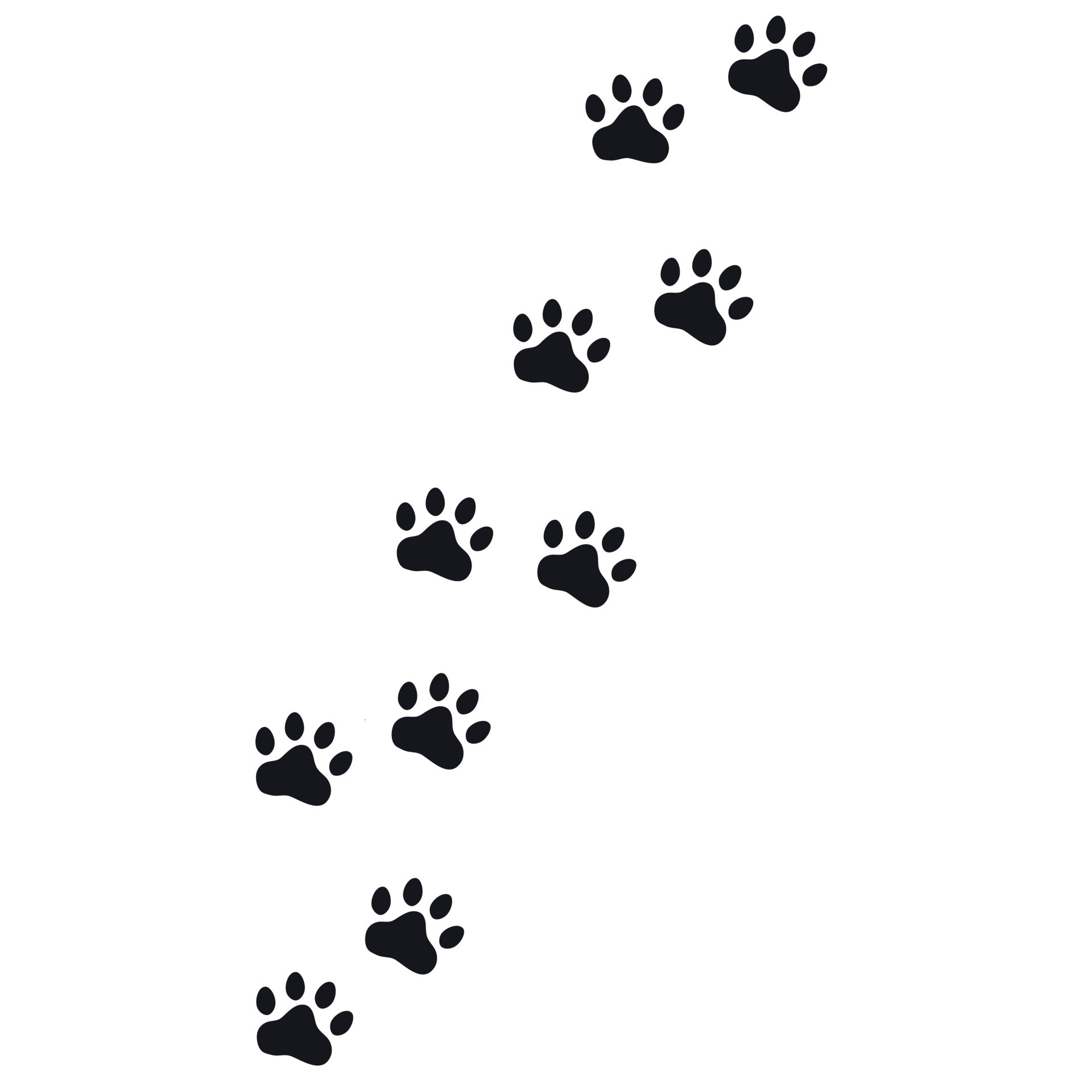 Silhouette of cat paws. Paw prints. The dog and cat puppy icon. Traces