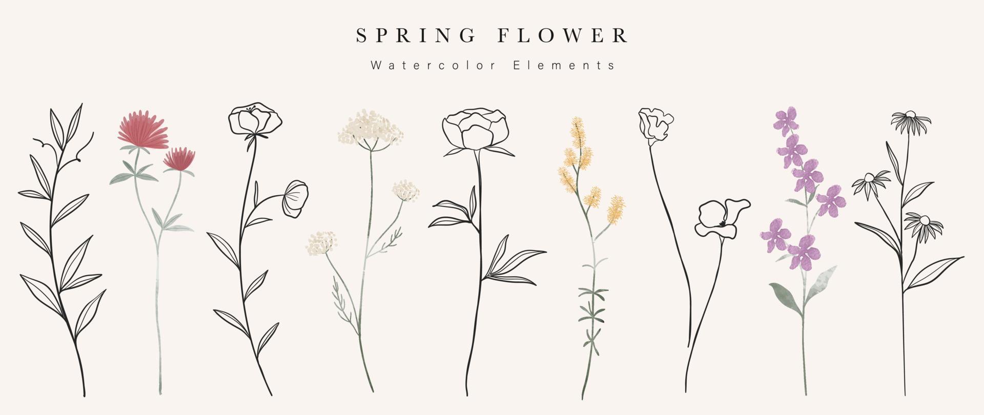 Watercolor hand drawn botanical vector set. Collection of abstract spring wild flowers, grass, leaf branch, floral leaves in minimal style. Design illustration for logo, wedding, invitation, decor