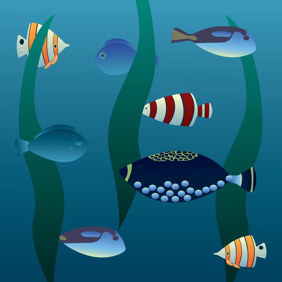 Fish swim in the water, among the algae. Vector illustration.