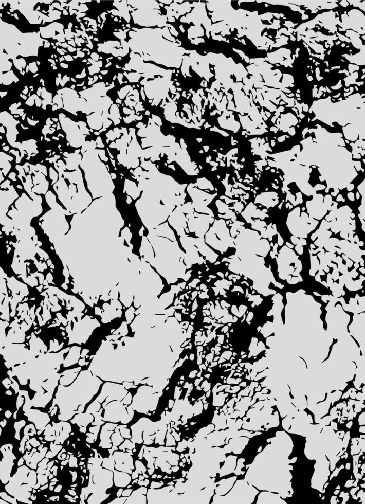 The cracks texture white and black. Vector background.