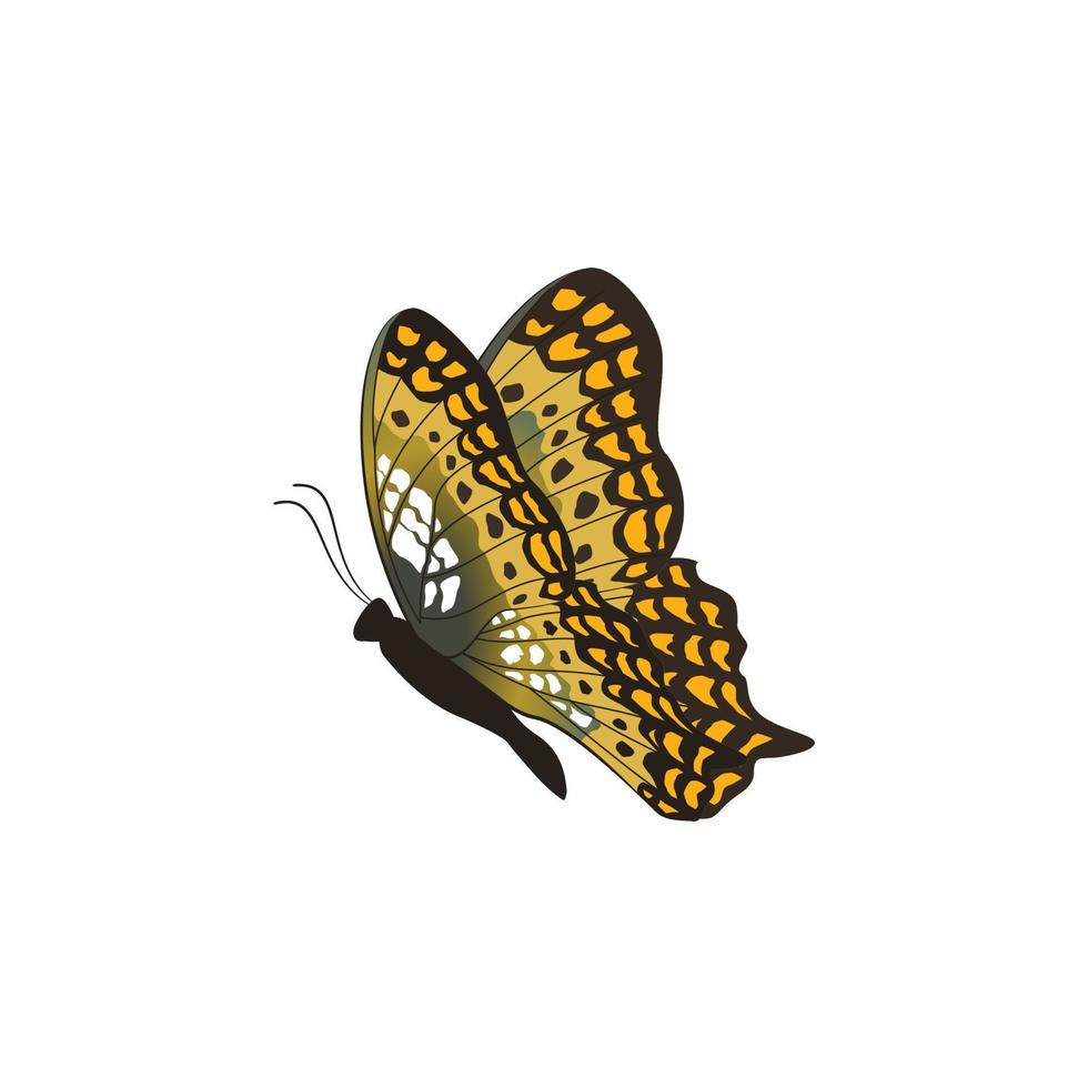 gráfico vectorial de mariposa monarca voladora aislada en fondo blanco. vector