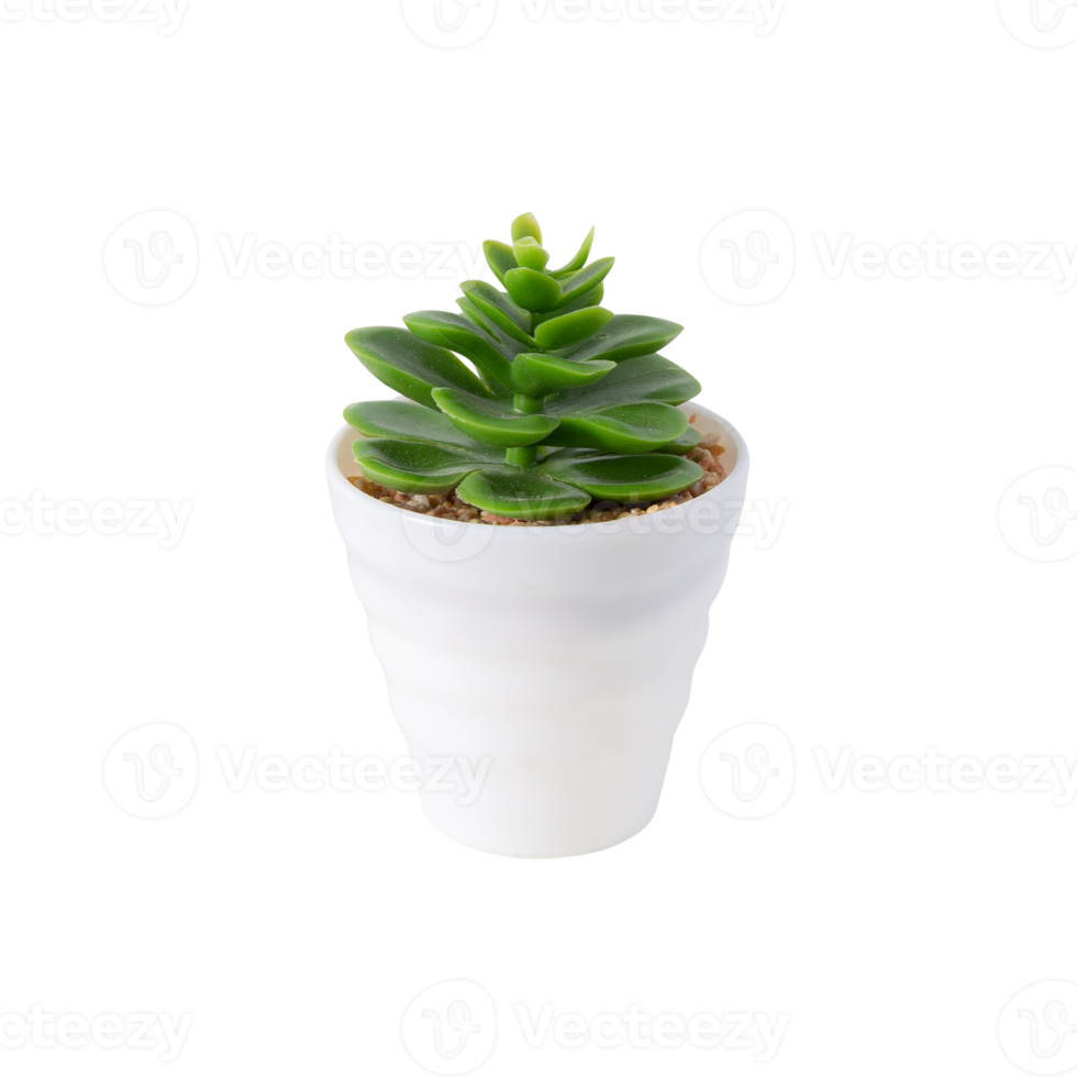 Houseplant in pot cutout, Png file