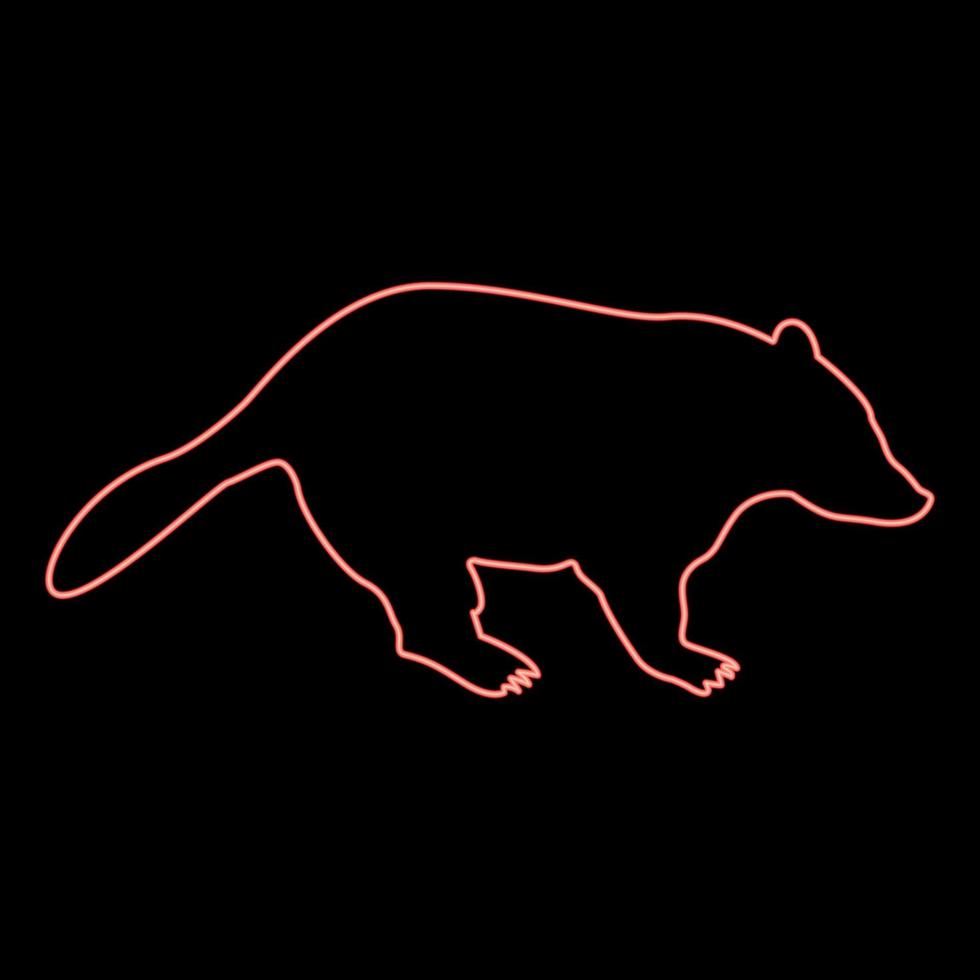 Neon badger animal wild Meles Taxus predatory mammal family kunihih Carnivore red color vector illustration image flat style