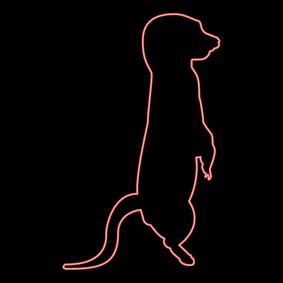 Neon meerkat in pose Suricata Suricatta red color vector illustration image flat style