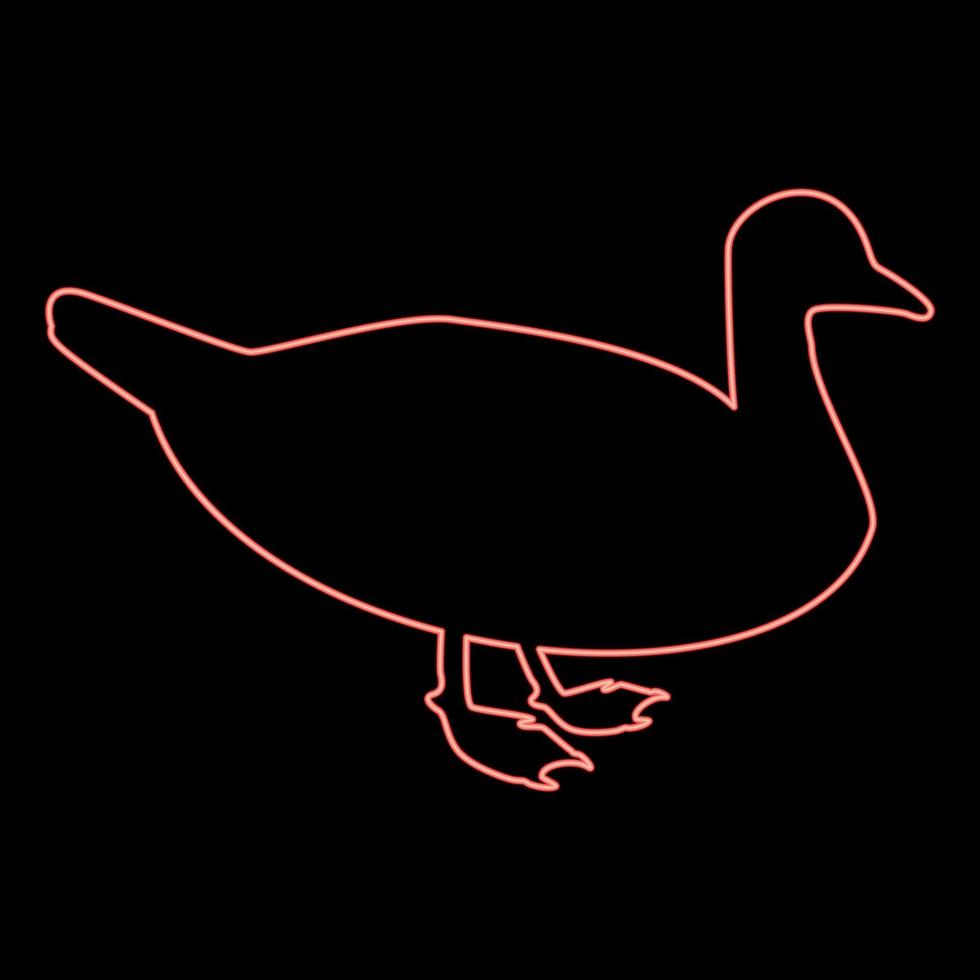 Neon duck Male mallard Bird Waterbird Waterfowl Poultry Fowl Canard red color vector illustration image flat style