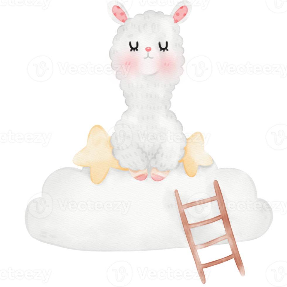 Cute Alpaca Llama illustration png