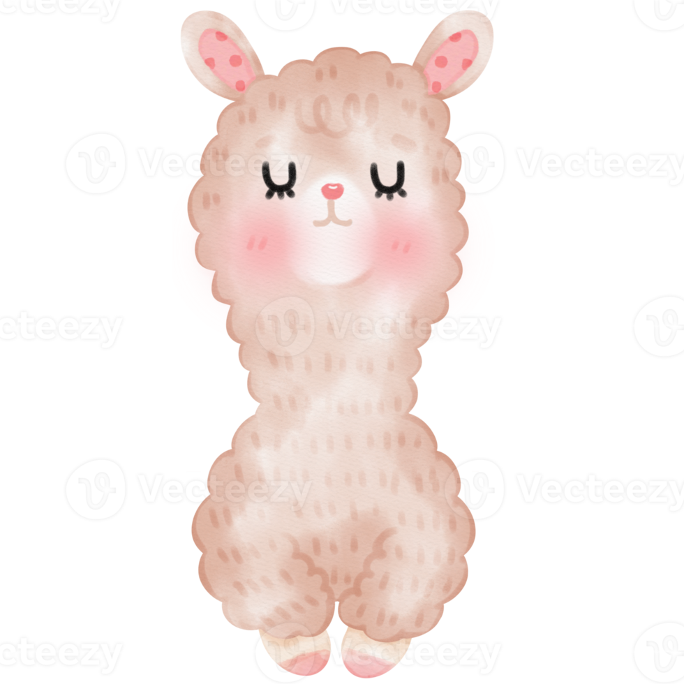 linda ilustración de llama de alpaca png