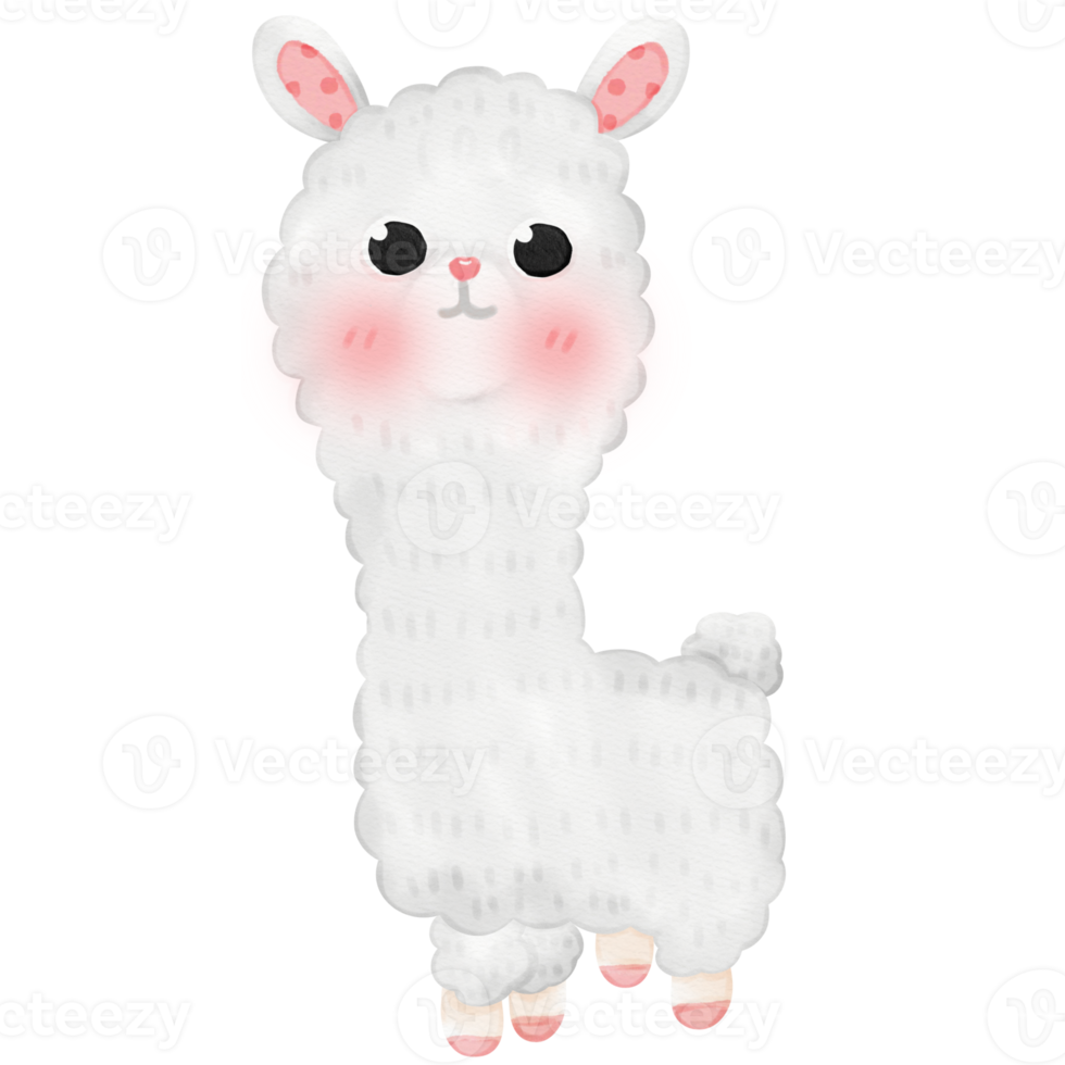 Cute Alpaca Llama illustration png