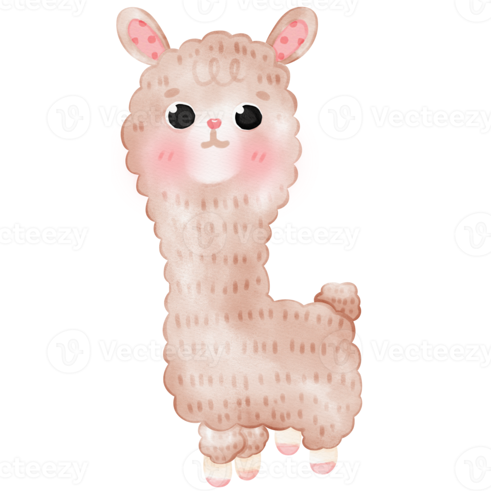 linda ilustración de llama de alpaca png