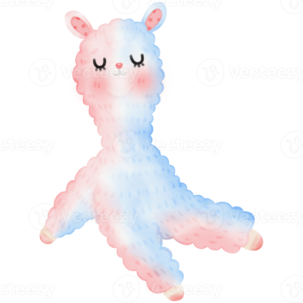 Cute Alpaca Llama illustration png