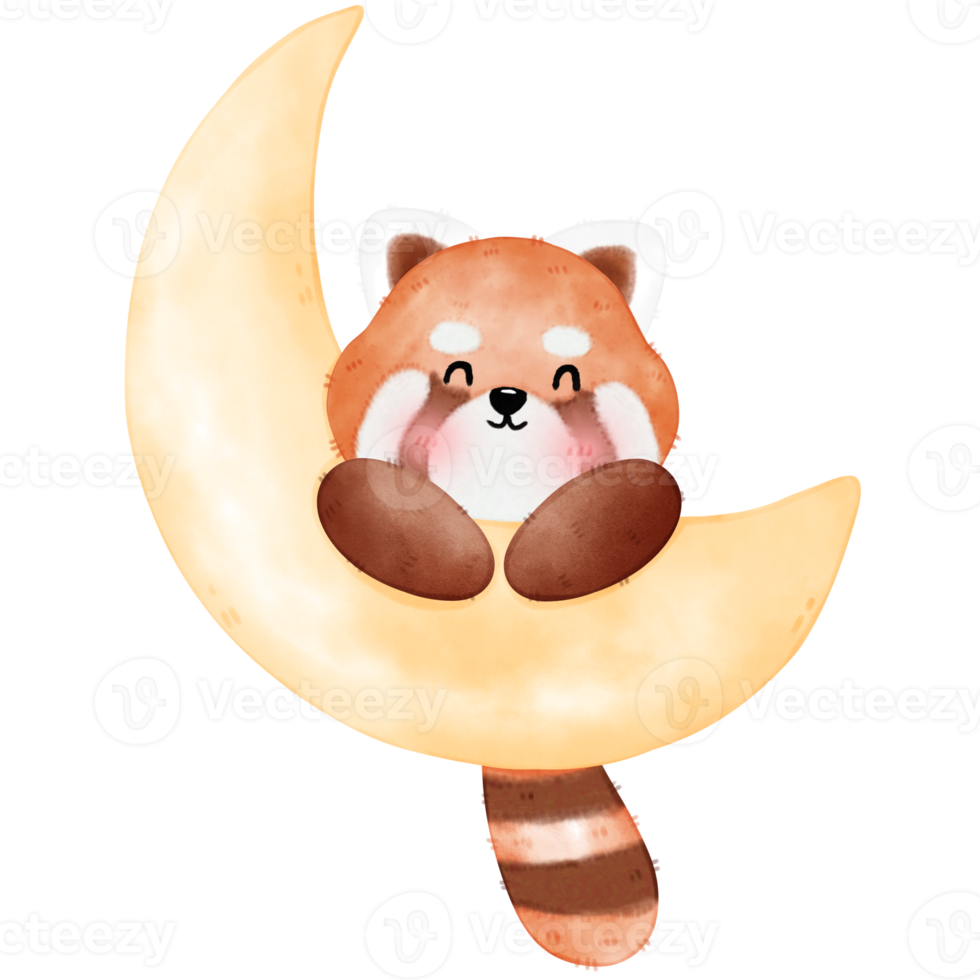 Cute Red Panda Illustration png