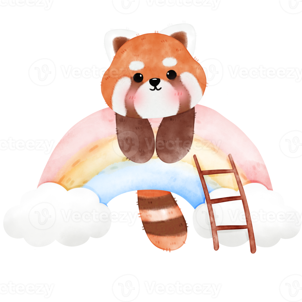 Cute Red Panda Illustration png