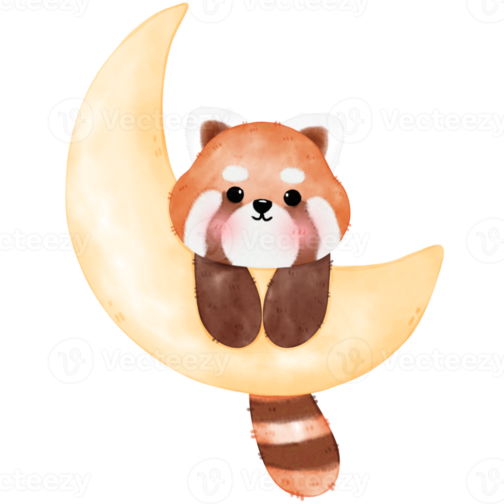 Cute Red Panda Illustration png