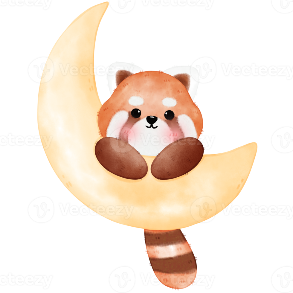 Cute Red Panda Illustration png