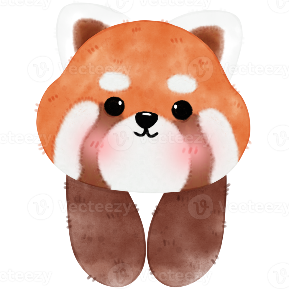 Cute Red Panda Illustration png