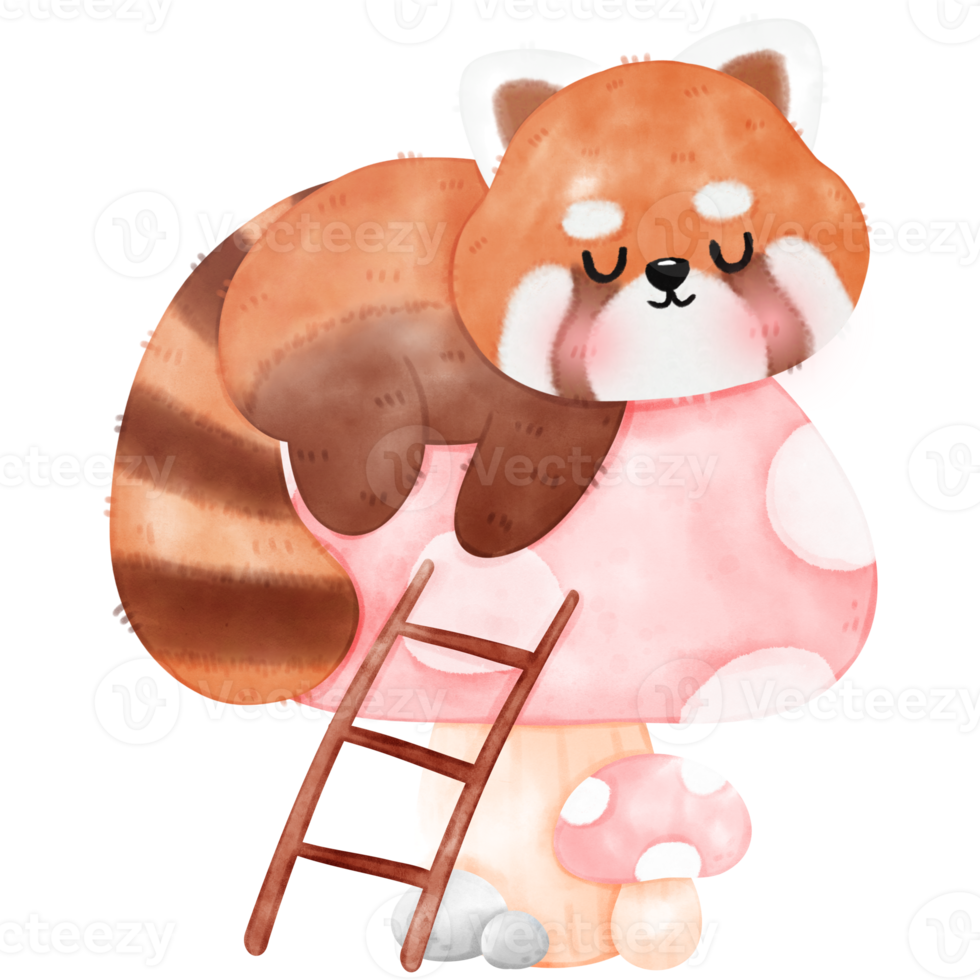 Cute Red Panda Illustration png