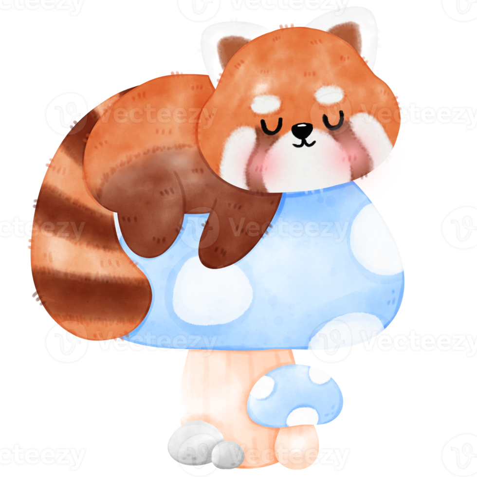 Cute Red Panda Illustration png