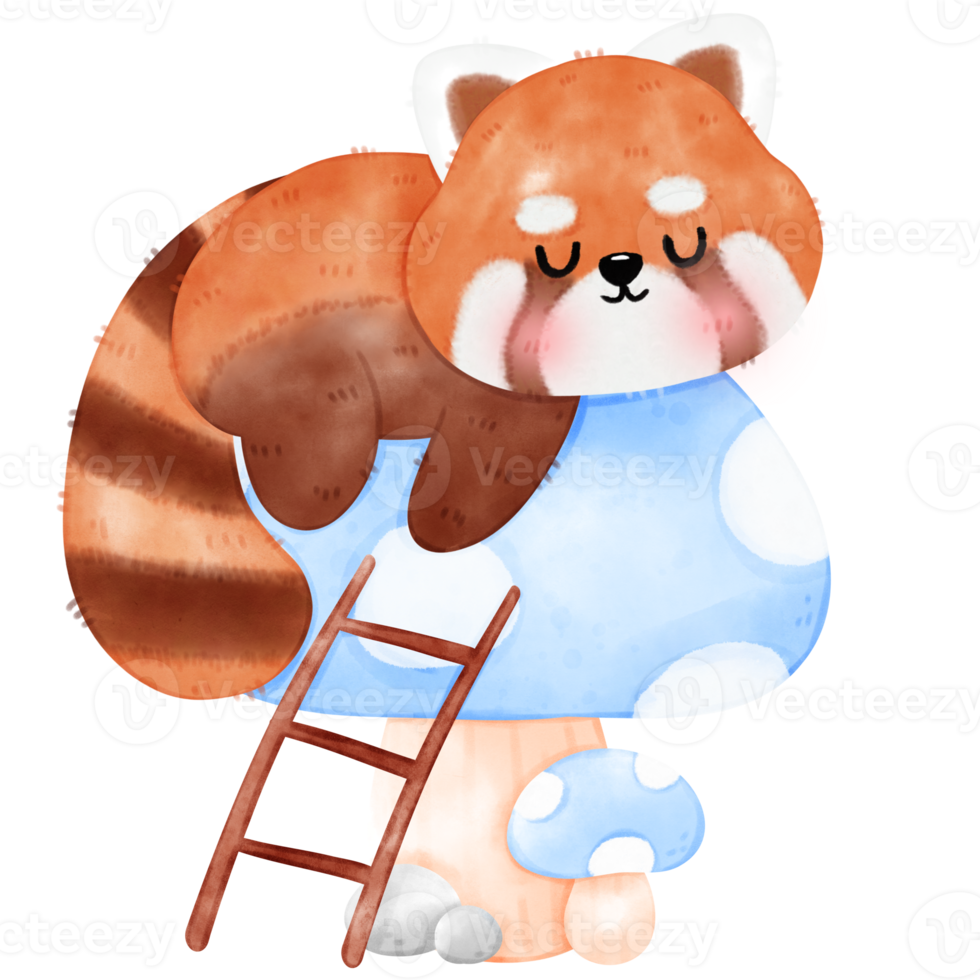 Cute Red Panda Illustration png