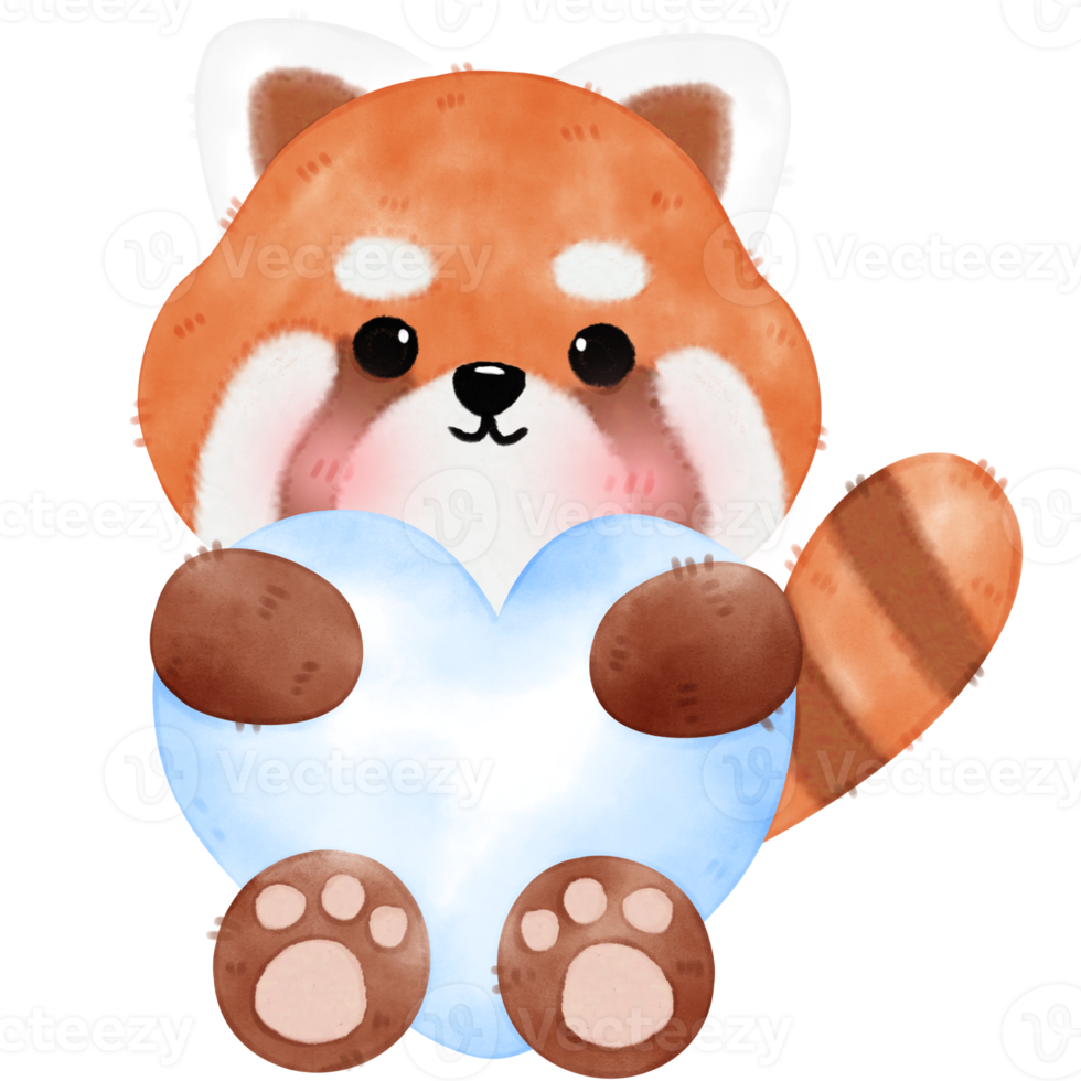 Cute Red Panda Illustration png