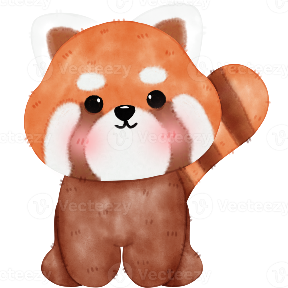 Cute Red Panda Illustration png