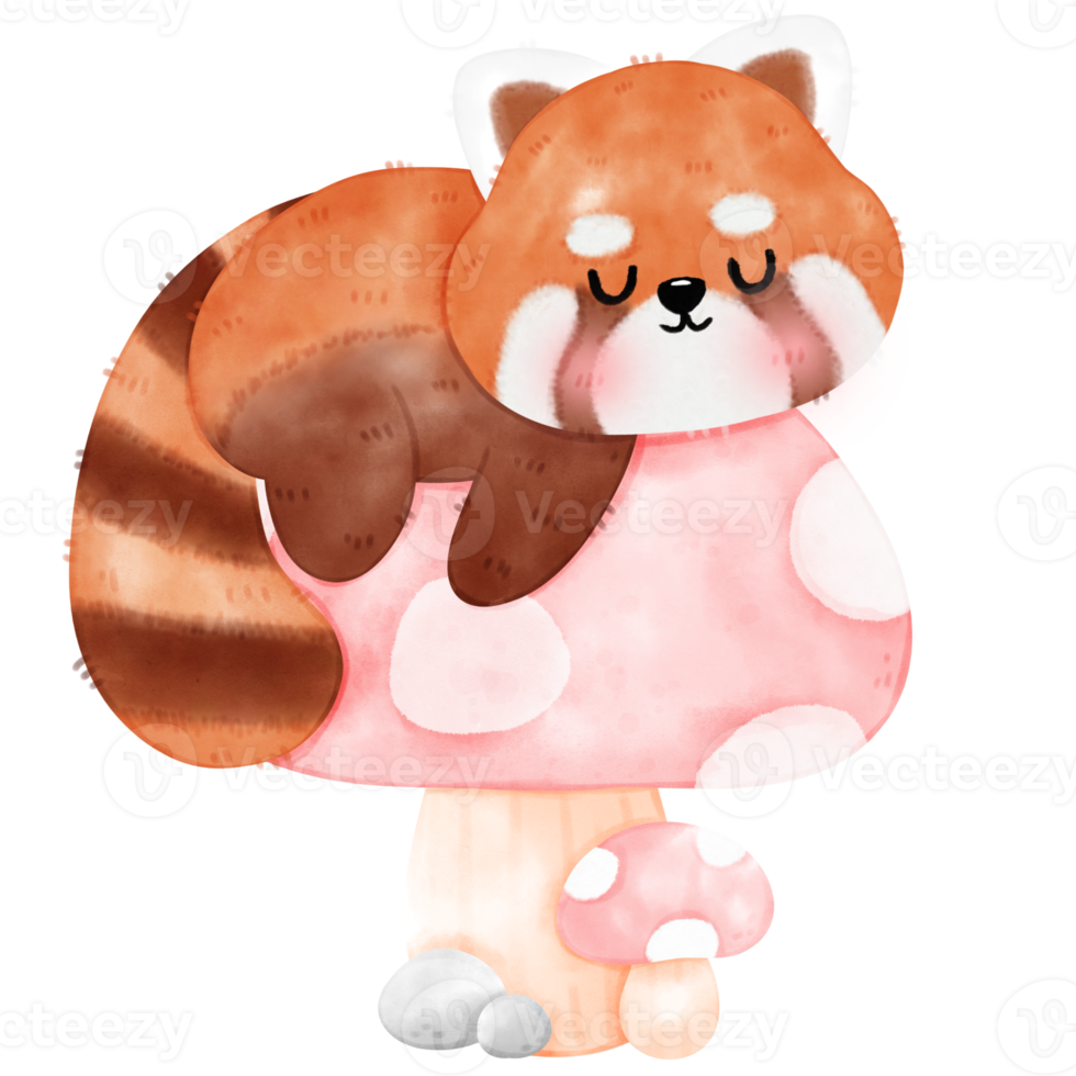 Cute Red Panda Illustration png