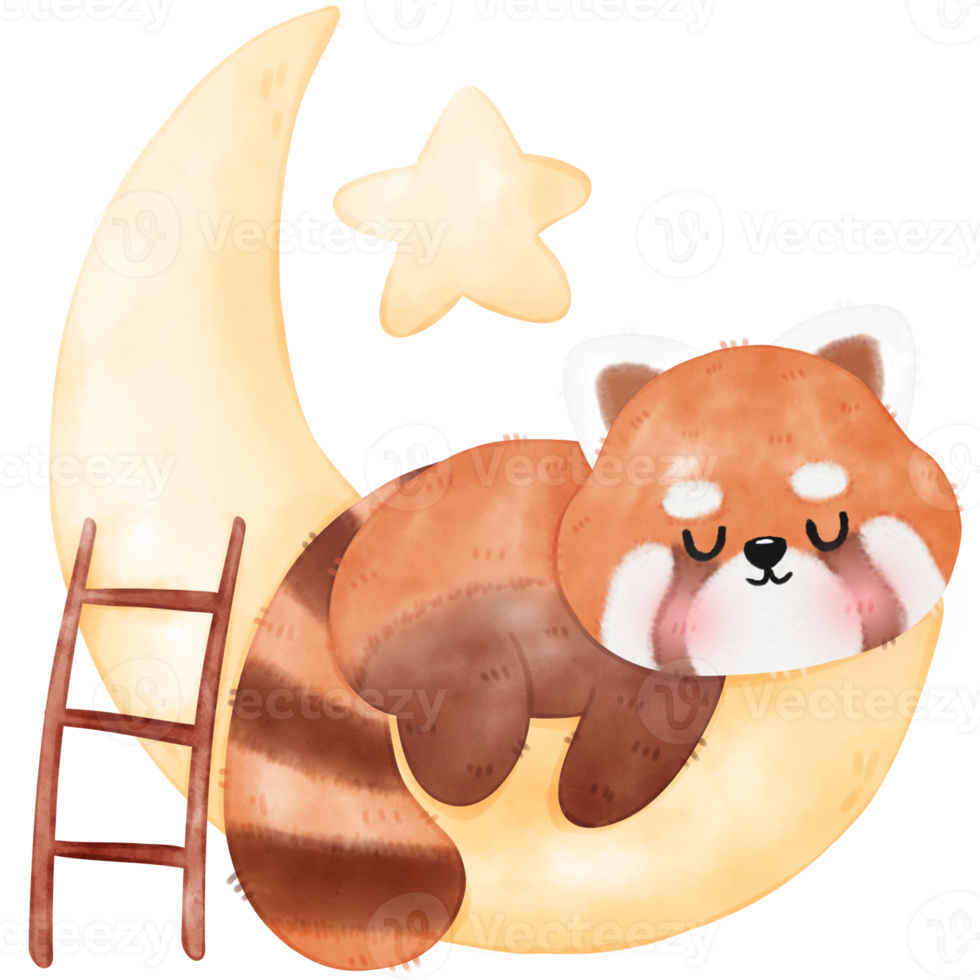 Cute Red Panda Illustration png