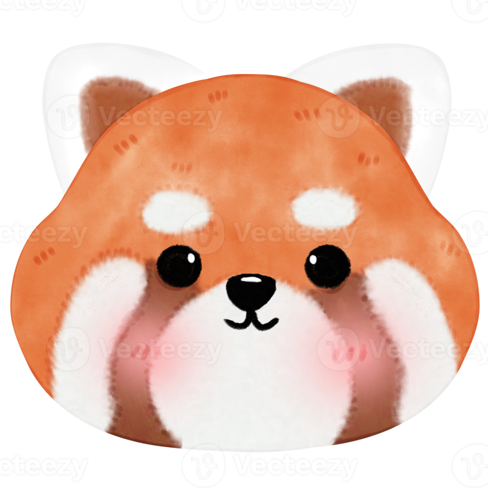 Cute Red Panda Illustration png