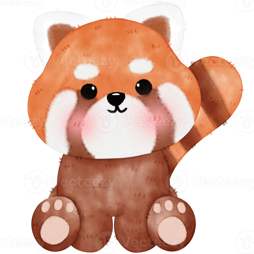 Cute Red Panda Illustration png