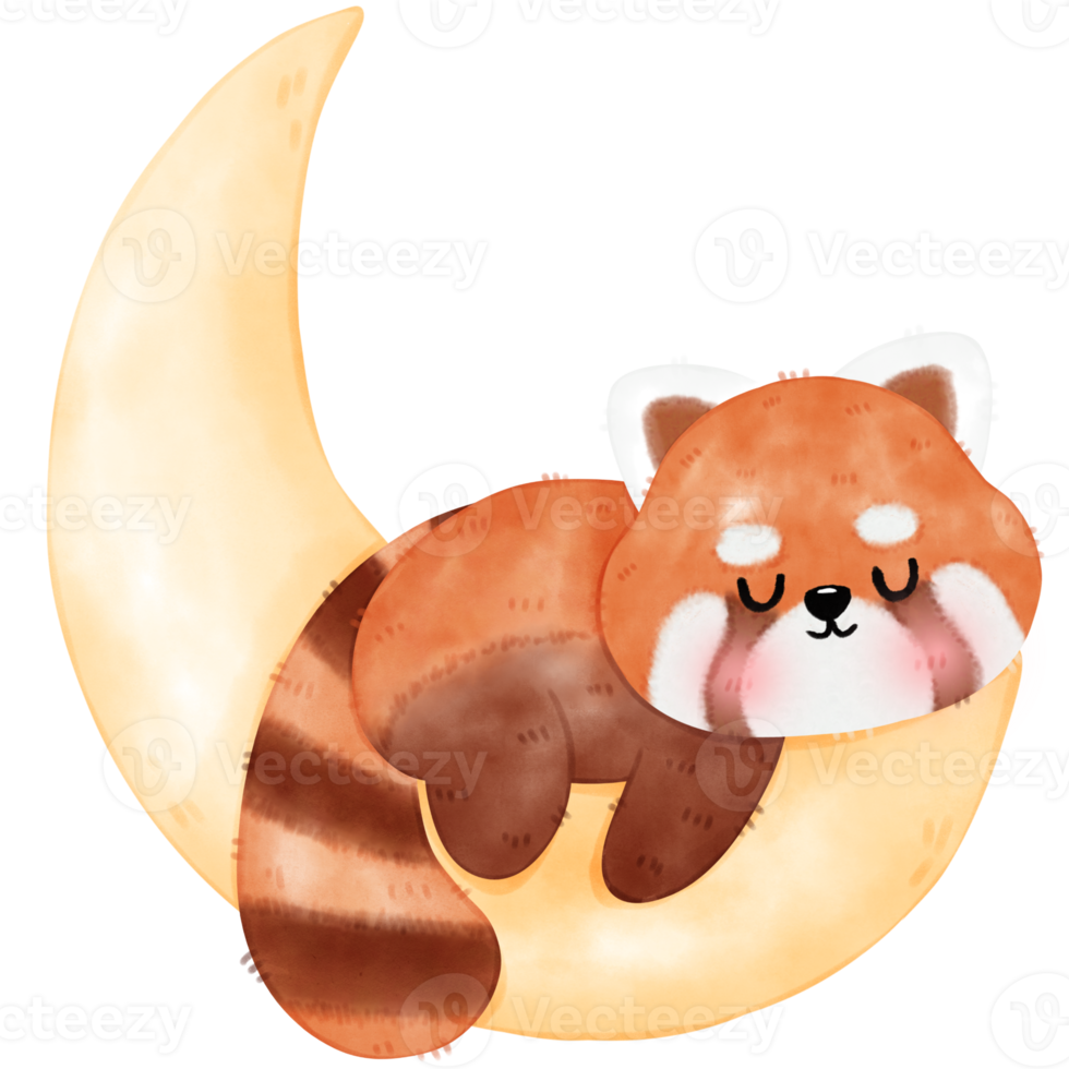 Cute Red Panda Illustration png