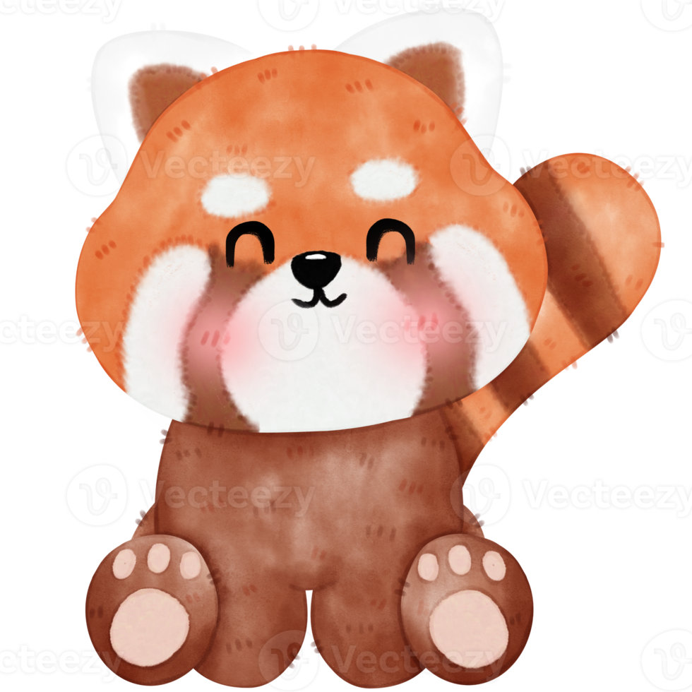 Cute Red Panda Illustration png