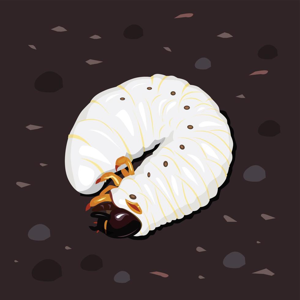 ilustración vectorial, larva de escarabajo vector