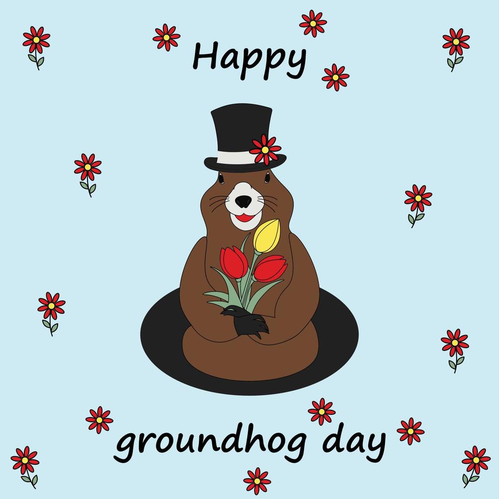 Colorful image of a groundhog in a hat with a bouquet tulip coming out of his hole. Groundhog Day vector