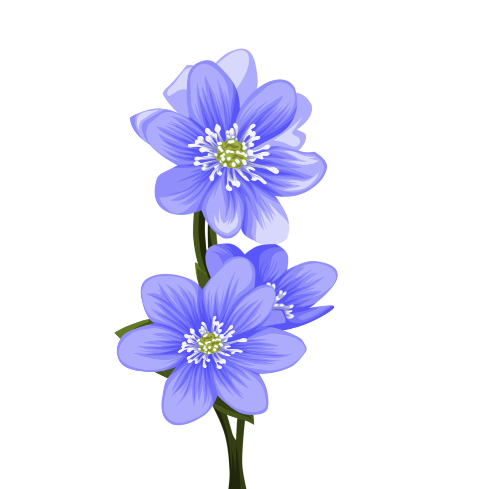 Free plantilla de icono de flor violeta 17193966 PNG with Transparent